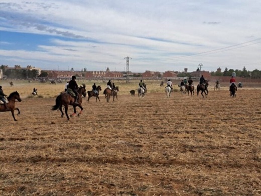 Quinto encierro tradicional de Medina del Campo // Fuente: La Voz